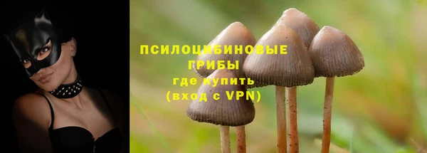 метадон Беломорск