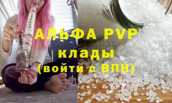 круглые Сосновый Бор