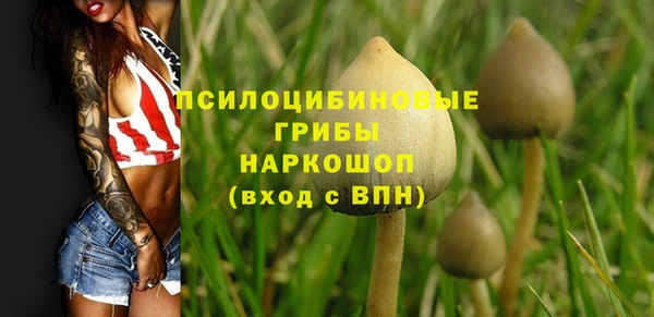 прущая мука Белоозёрский